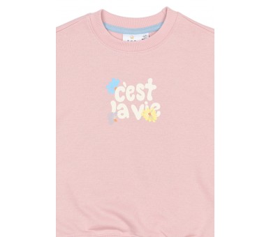 THE NEW : Sweat-shirt Silver Pink