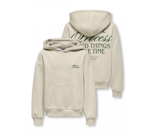 ONLY & SONS : Hoodie met print achteraan