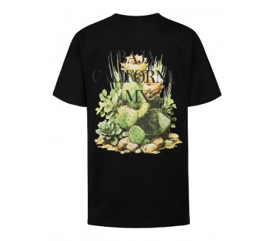 PETROL : T-Shirt short sleeves Clashort sleevesic Print