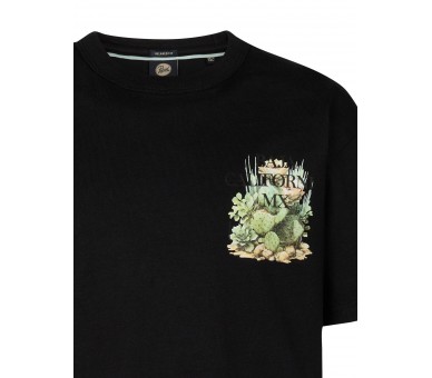 PETROL : T-Shirt short sleeves Clashort sleevesic Print