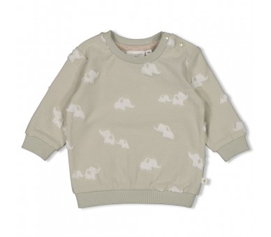 FEETJE : Sweater AO - Elephant Mint