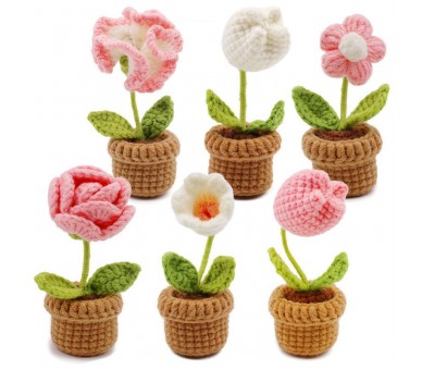 crochet kit - 6 Flowers