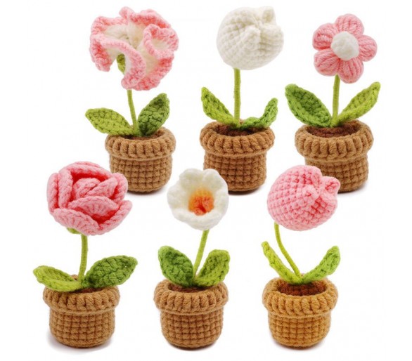 crochet kit - 6 Flowers