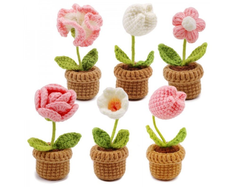 crochet kit - 6 Flowers