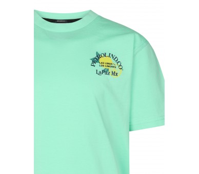 PETROL : T-Shirt short sleeves Clashort sleevesic Print