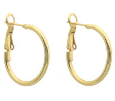 Steel Hoop Earrings 25mm