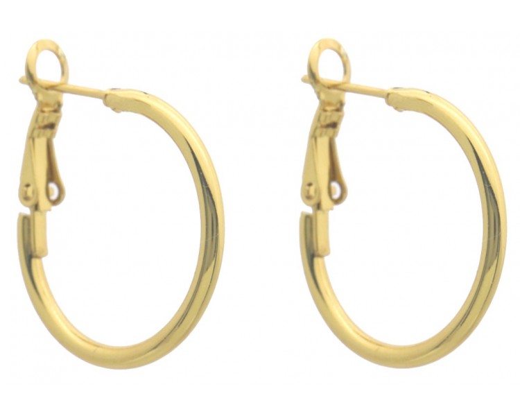 Steel Hoop Earrings 25mm