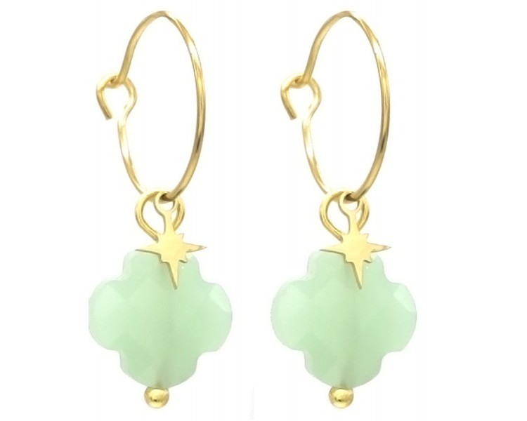 Steel Earrings Star - Clover 3cm