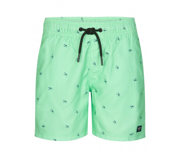 PETROL : Losse zwemshort met kleine print