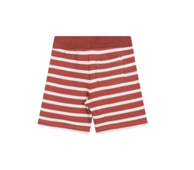 MINI REBELS : Shorts terre