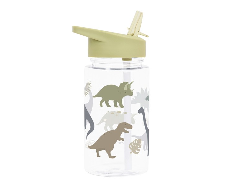 Drinking Bottle Dinosaurs
