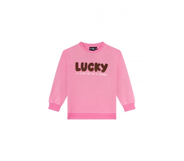 AWESOME : Pull long sleeves