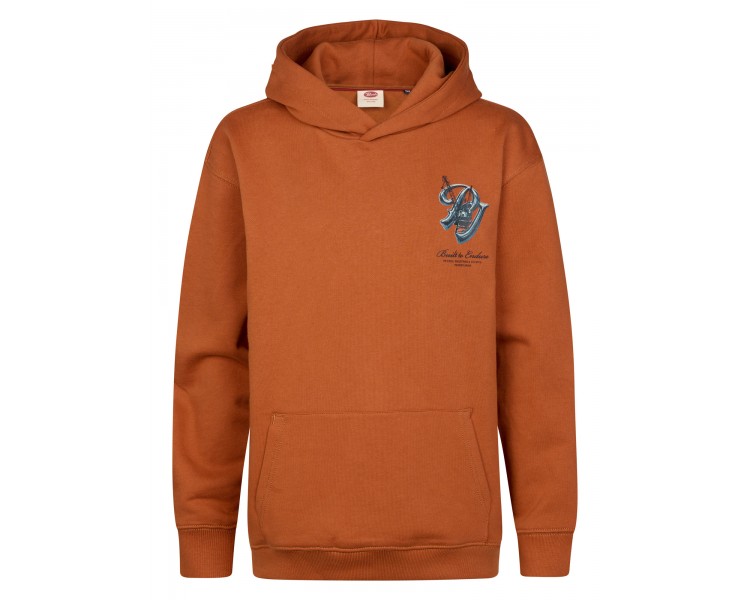 PETROL : Boys Sweater Hooded Print