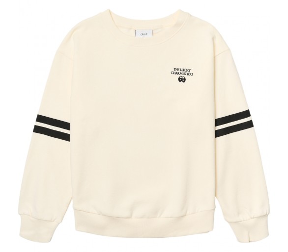 GRUNT : Super leuke sweater