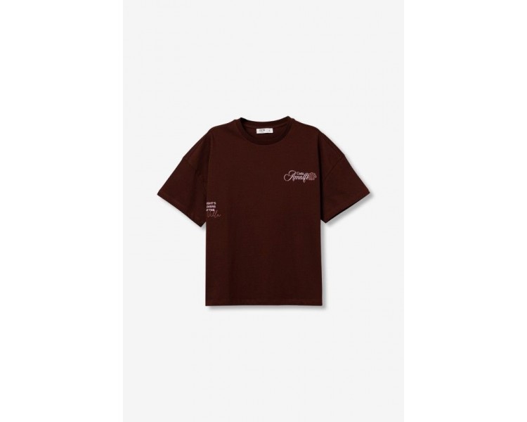 TROLL_4 T-SHIRT'S S/S BROWN