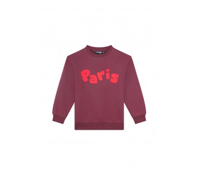 AWESOME : Sweater "PARIS"