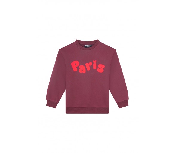 AWESOME : Sweater "PARIS"