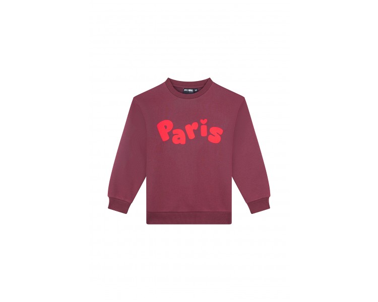 AWESOME : Sweater "PARIS"