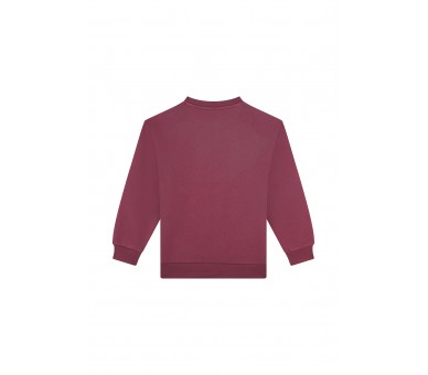 AWESOME : Sweater "PARIS"