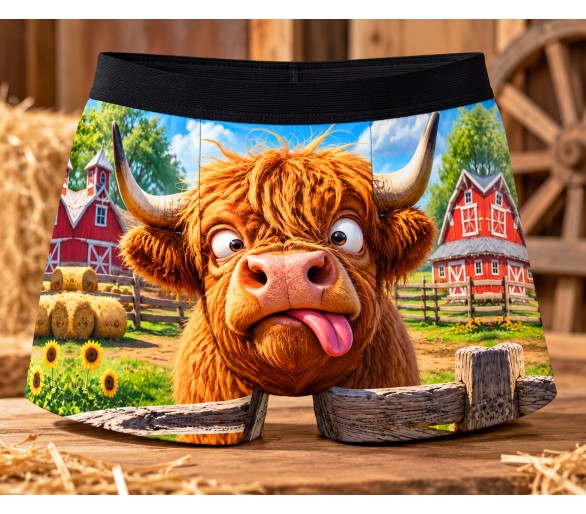 Boxer – Funny Cow