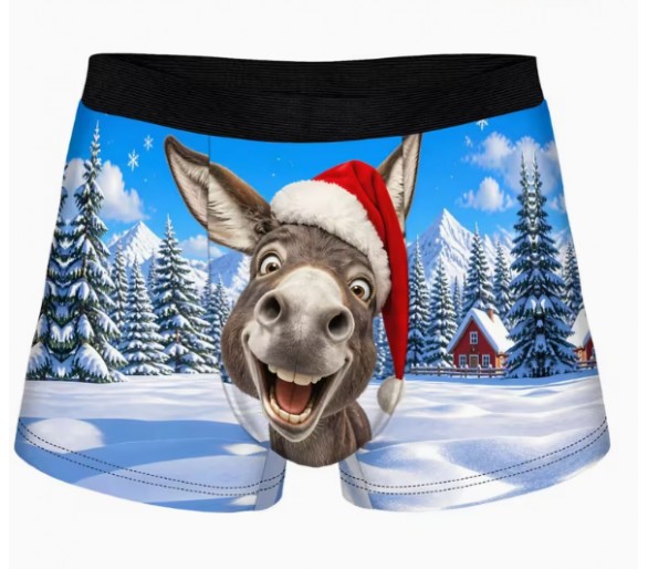 Boxer – Funny donkey