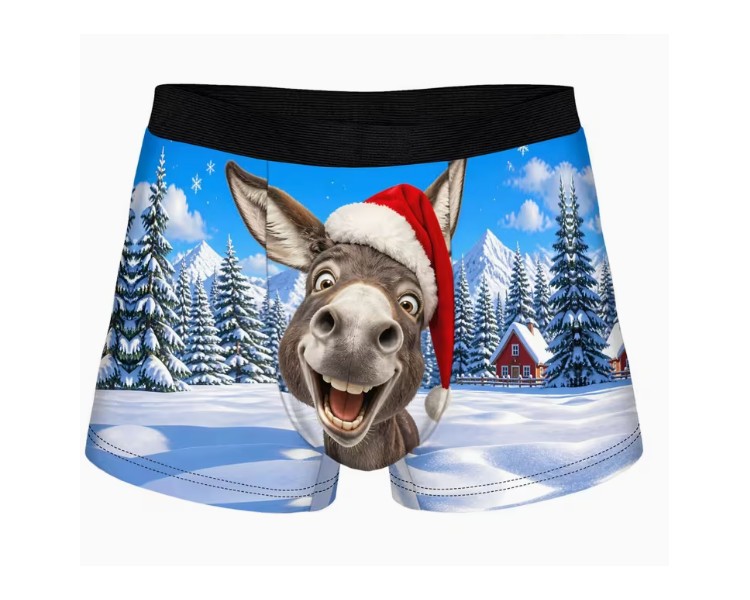 Boxer – Funny donkey