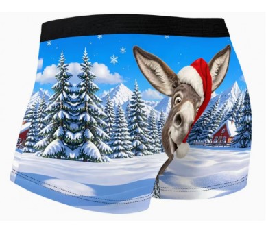 Boxer – Funny donkey