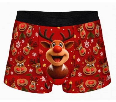 Boxer – Funny donkey