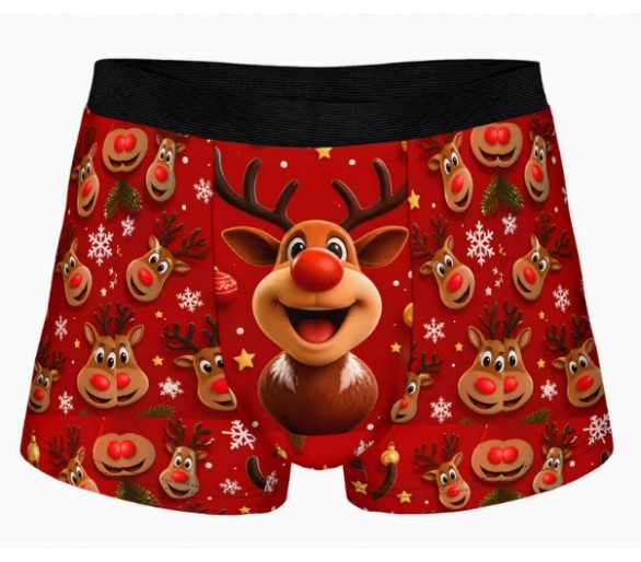 Boxer – Funny donkey