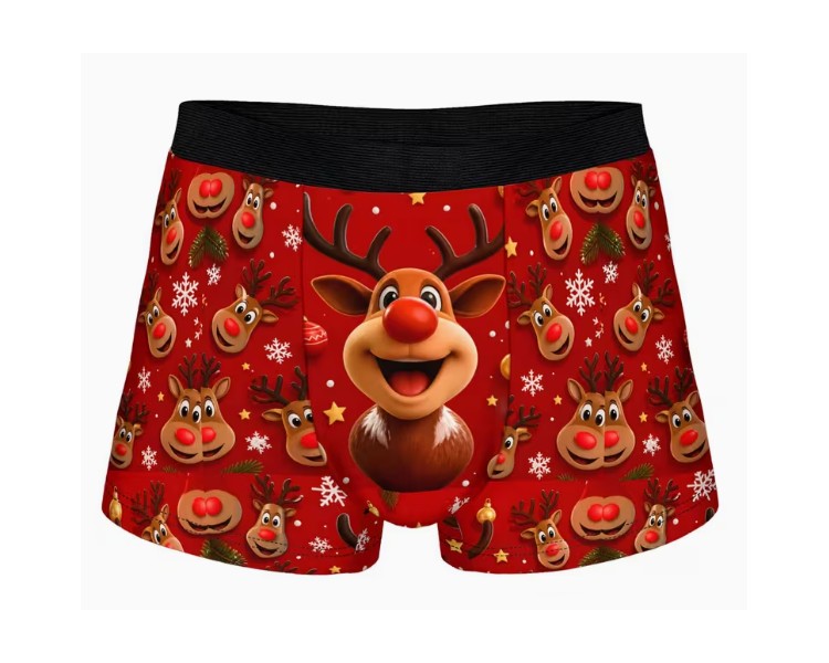 Boxer – Funny donkey