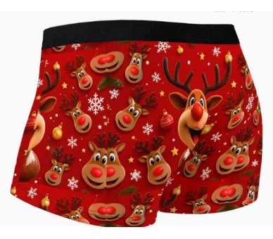 Boxer – Funny donkey