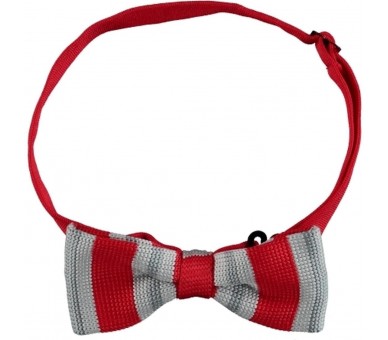Bowtie