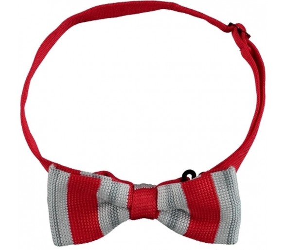Noeud papillon