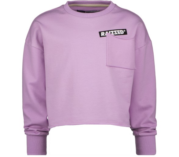 RAIZZED : Sweater Crew neck Lilac pink